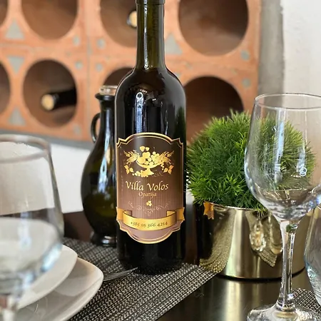 公寓 Volos Karmen With Roof Terrace, Sea View, Free Private Parking